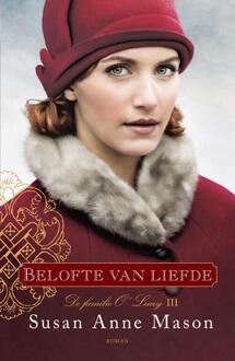 VBK Media Belofte van liefde - Boek Susan Anne Mason (9029727713)