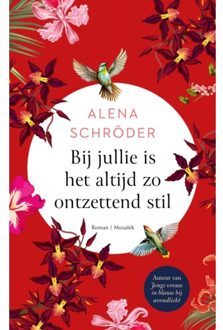 VBK Media Bij Jullie Is Het Altijd Zo Ontzettend Stil - Alena Schröder