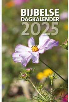 VBK Media Bijbelse Dagkalender 2025 - Diverse auteurs