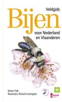 VBK Media Bijen - Veldgids Voor Nederland En Vlaanderen - Richard Lewington