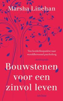 VBK Media Bouwstenen voor een zinvol leven - (ISBN:9789025902858)