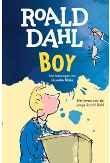 VBK Media Boy - Roald Dahl