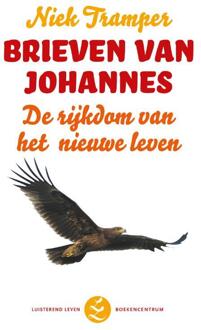 VBK Media Brieven van Johannes - Boek Niek Tramper (9023928474)