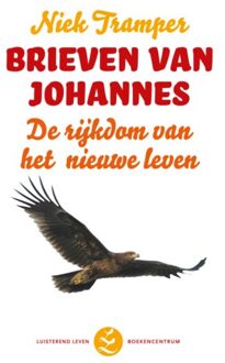 VBK Media Brieven van Johannes - Boek Niek Tramper (9023928474)