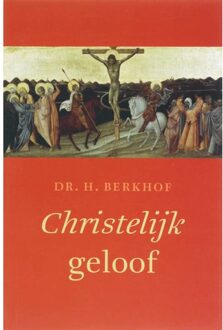 VBK Media Christelijk geloof - Boek A. Berkhof (9043514101)