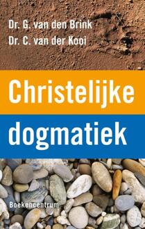 VBK Media Christelijke dogmatiek - Boek Gijsbert van den Brink (9023926064)