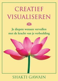 VBK Media Creatief Visualiseren - (ISBN:9789020216943)