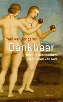VBK Media Dankbaar - Boek Paul van Tongeren (9086871798)