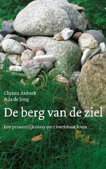 VBK Media De berg van de ziel - Boek Christa Anbeek (9025902839)