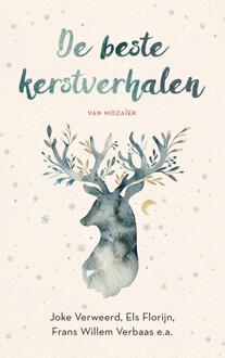 VBK Media De beste kerstverhalen van Mozaïek - Boek Els Florijn (9023955854)