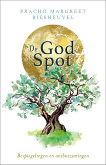 VBK Media De God-Spot - (ISBN:9789020216653)
