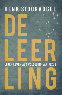 VBK Media De Leerling - Boek Henk Stoorvogel (9029725834)