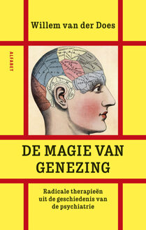 VBK Media De Magie Van Genezing - Willem van der Does