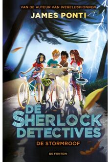 VBK Media De Stormroof - De Sherlock-Detectives - James Ponti