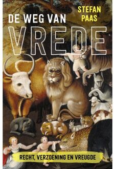 VBK Media De Weg Van Vrede - Stefan Paas