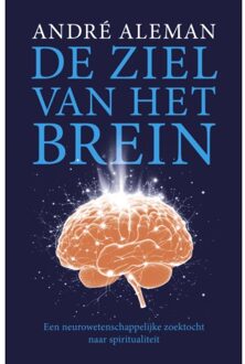 VBK Media De Ziel Van Het Brein - Andre Aleman