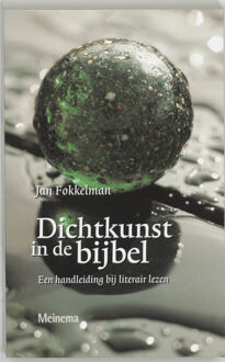 VBK Media Dichtkunst in de bijbel - Boek J. Fokkelman (9021136937)