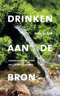 VBK Media Drinken uit de Bron - Boek J. de Kok (9043524883)