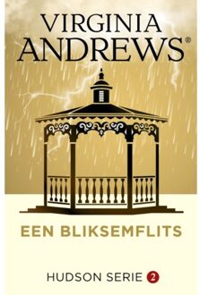 VBK Media Een bliksemflits