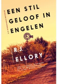 VBK Media Een stil geloof in engelen