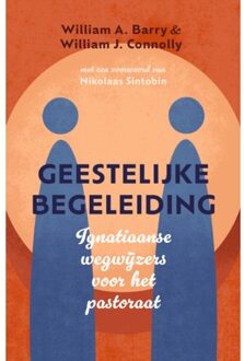 VBK Media Geestelijke Begeleiding - William A. Barry