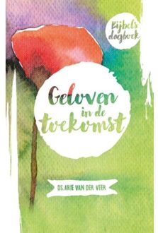 VBK Media Geloven in de toekomst - Boek Arie van der Veer (9043518220)