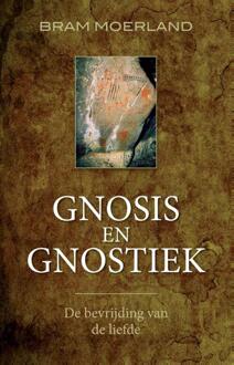 VBK Media Gnosis en gnostiek - Boek Bram Moerland (9020210793)
