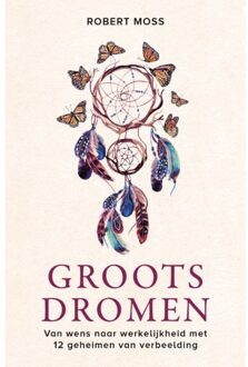 VBK Media Groots dromen - (ISBN:9789020217834)