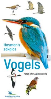 VBK Media Hayman's Zakgids Vogels - Peter Hayman