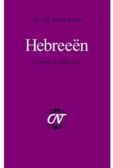 VBK Media Hebreeen - Boek H.R. van de Kamp (9043518115)