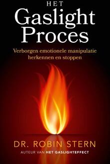 VBK Media Het Gaslightproces - Robin Stern