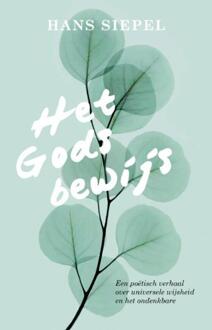 VBK Media Het Godsbewijs - Boek Hans Siepel (9020214683)