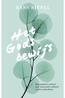 VBK Media Het Godsbewijs - Boek Hans Siepel (9020214683)