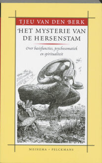 VBK Media Het mysterie van de hersenstam - Boek Tjeu van den Berk (9021138581)