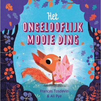 VBK Media Het Ongelooflijk Mooie Ding - Frances Tosdevin