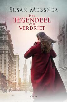 VBK Media Het tegendeel van verdriet - Boek Susan Meissner (9043530670)