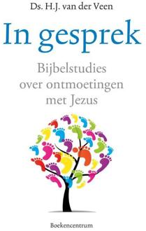 VBK Media In gesprek - Boek H.J. van der Veen (902397042X)
