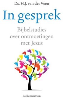 VBK Media In gesprek - Boek H.J. van der Veen (902397042X)