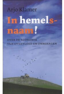 VBK Media In Hemelsnaam! - Boek Arjo Klamer (9025955010)