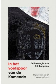 VBK Media In Het Voetspoor Van De Komende - Stephan van Erp