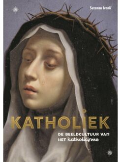 VBK Media Katholiek - (ISBN:9789043537568)