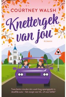 VBK Media Knettergek Van Jou - Roadtrip Romance - Courtney Walsh