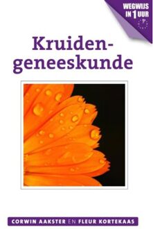 VBK Media Kruidengeneeskunde - Boek Corwin Aakster (9020211676)
