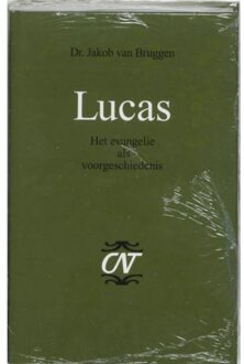 VBK Media Lucas - Boek Jakob van Bruggen (9024261449)
