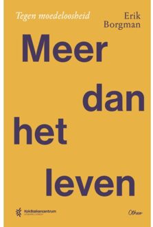 VBK Media Meer Dan Het Leven - E Borgman