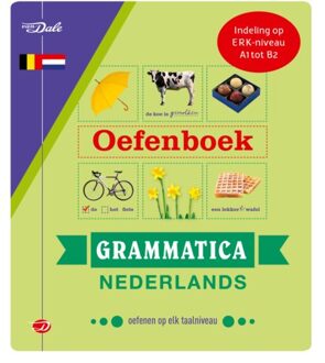 VBK Media Oefenboek Grammatica Nederlands - Boek Robertha Huitema (9460774989)