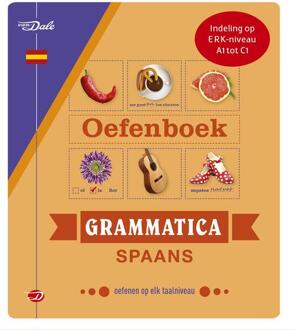 VBK Media Oefenboek Grammatica Spaans - Boek Christina Irún Chavarría (9460775004)