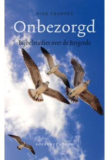 VBK Media Onbezorgd - Boek Niek Tramper (9023954114)