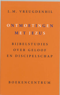 VBK Media Ontmoetingen met Jezus - Boek L.M. Vreugdenhil (9023917634)