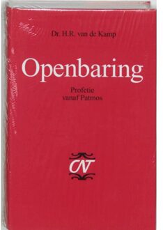VBK Media Openbaring - Boek H.R. van de Kamp (9043501530)